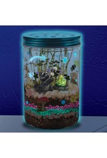 Creativity for Kids Grow N Glow Terrarium