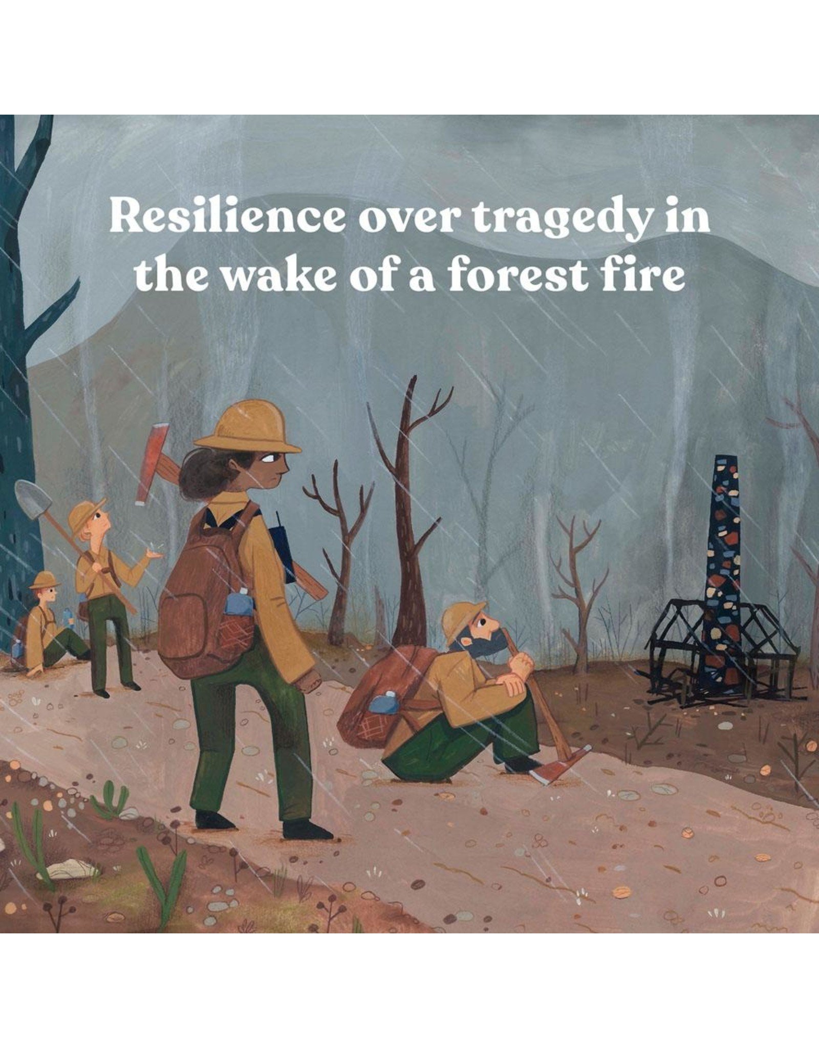 Chronicle Books Fox And The Forest Fire