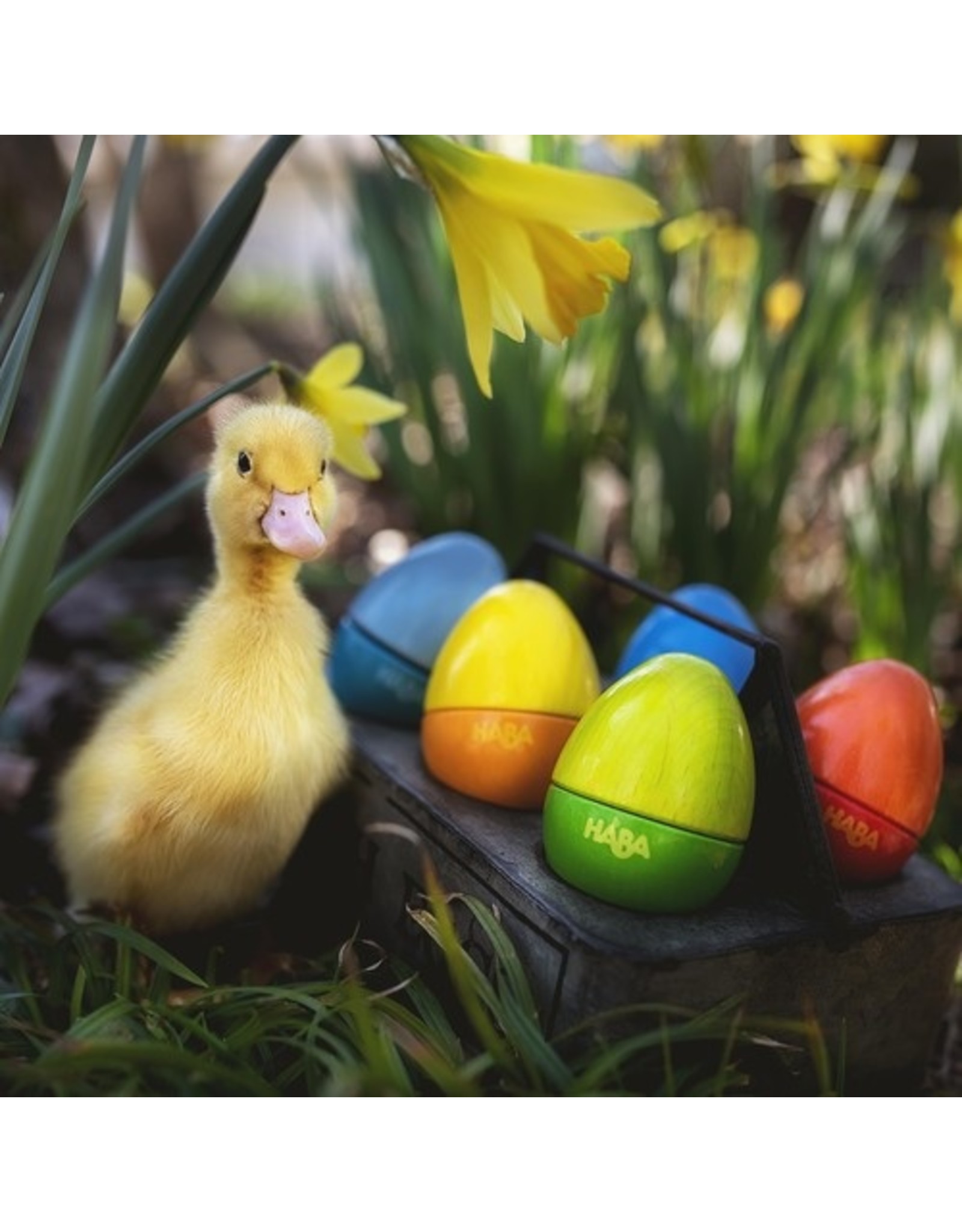 HABA Wooden Musical Eggs Set of 5