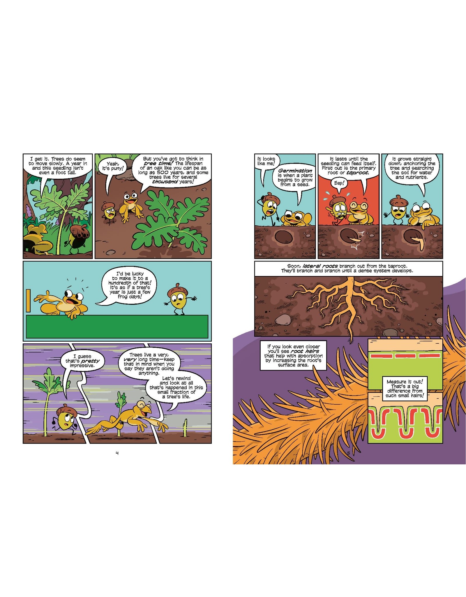 first second Science Comics: Trees Kings of the Forest