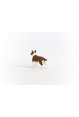 Schleich Bull Terrier