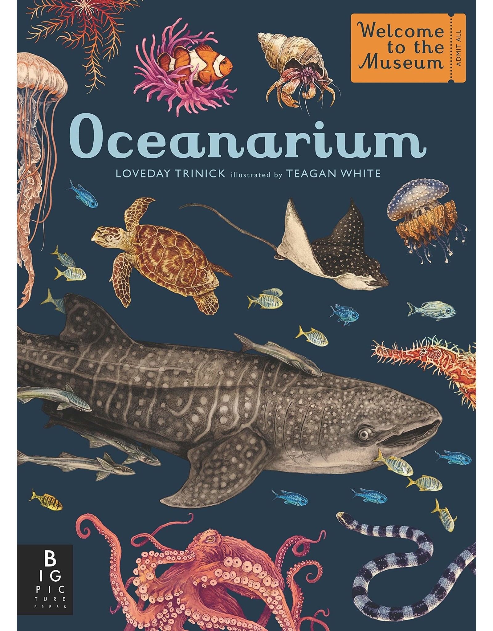 Big Picture Press Oceanarium
