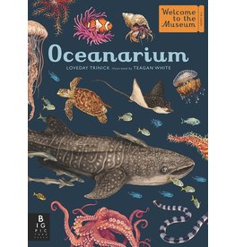 Big Picture Press Oceanarium