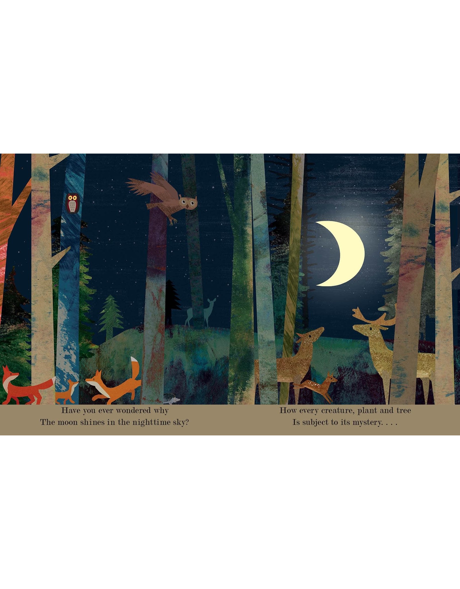 Penguin Random House Moon: A Peek-Through Board Book