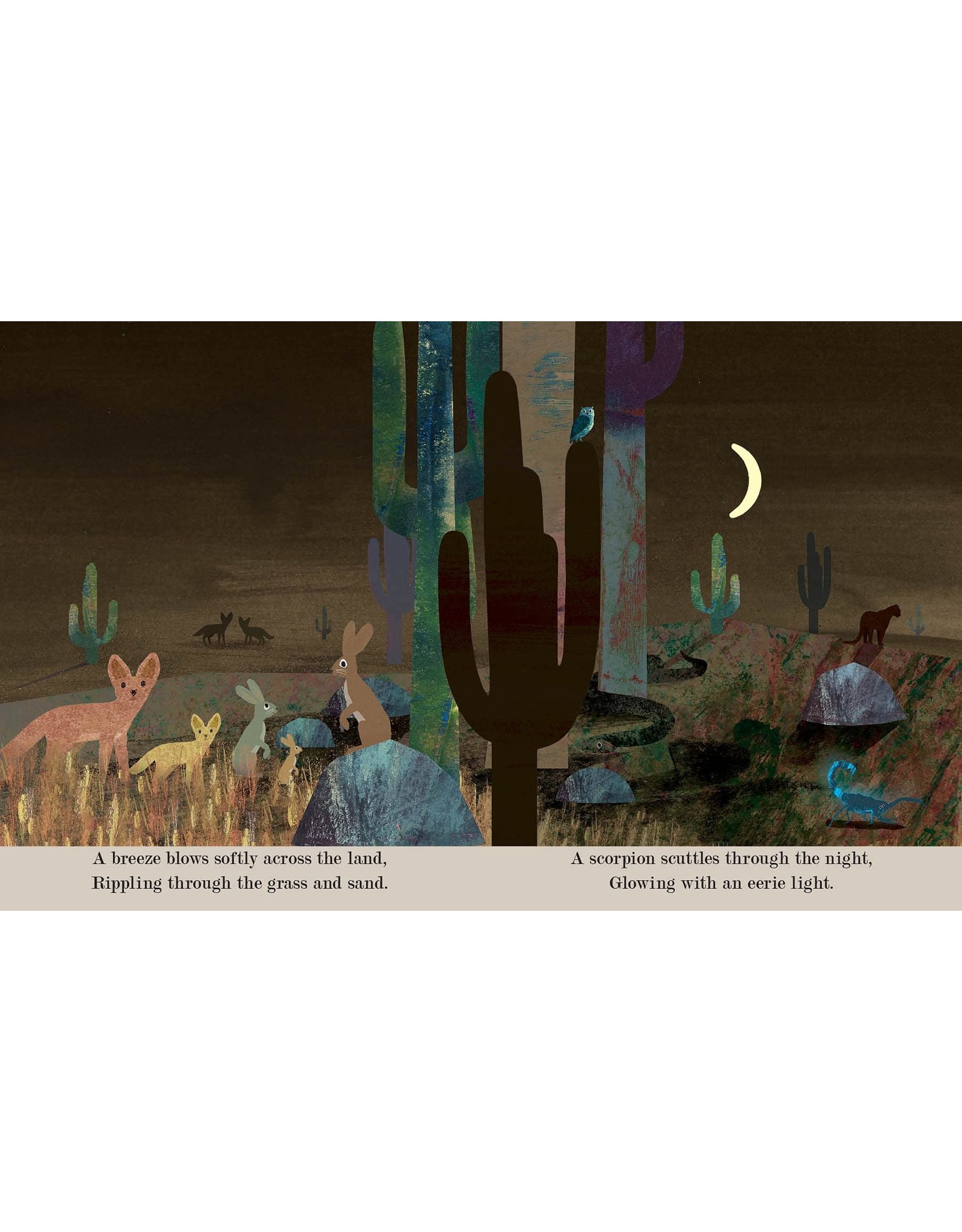 Penguin Random House Moon: A Peek-Through Board Book