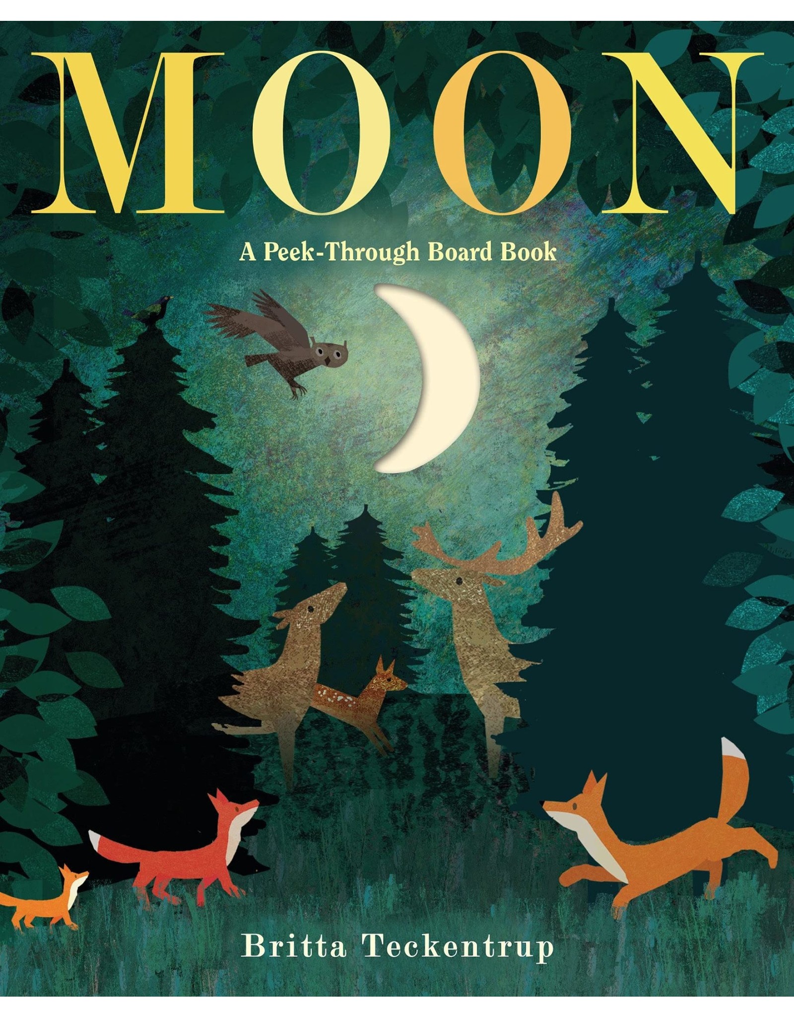 Penguin Random House Moon: A Peek-Through Board Book