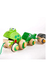 Hape Pull-Along Frog Family