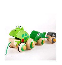 Hape Pull-Along Frog Family