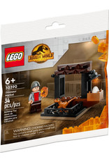 LEGO Jurassic World  Dinosaur Market 30390