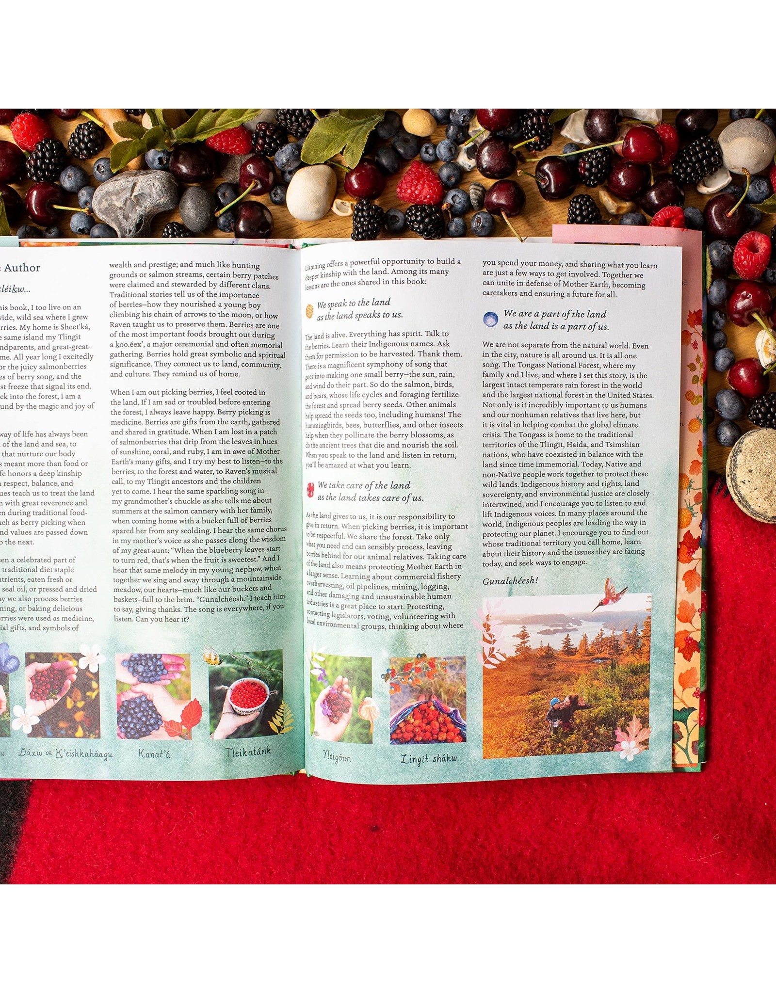 Little, Brown Books for Young Readers Berry Song