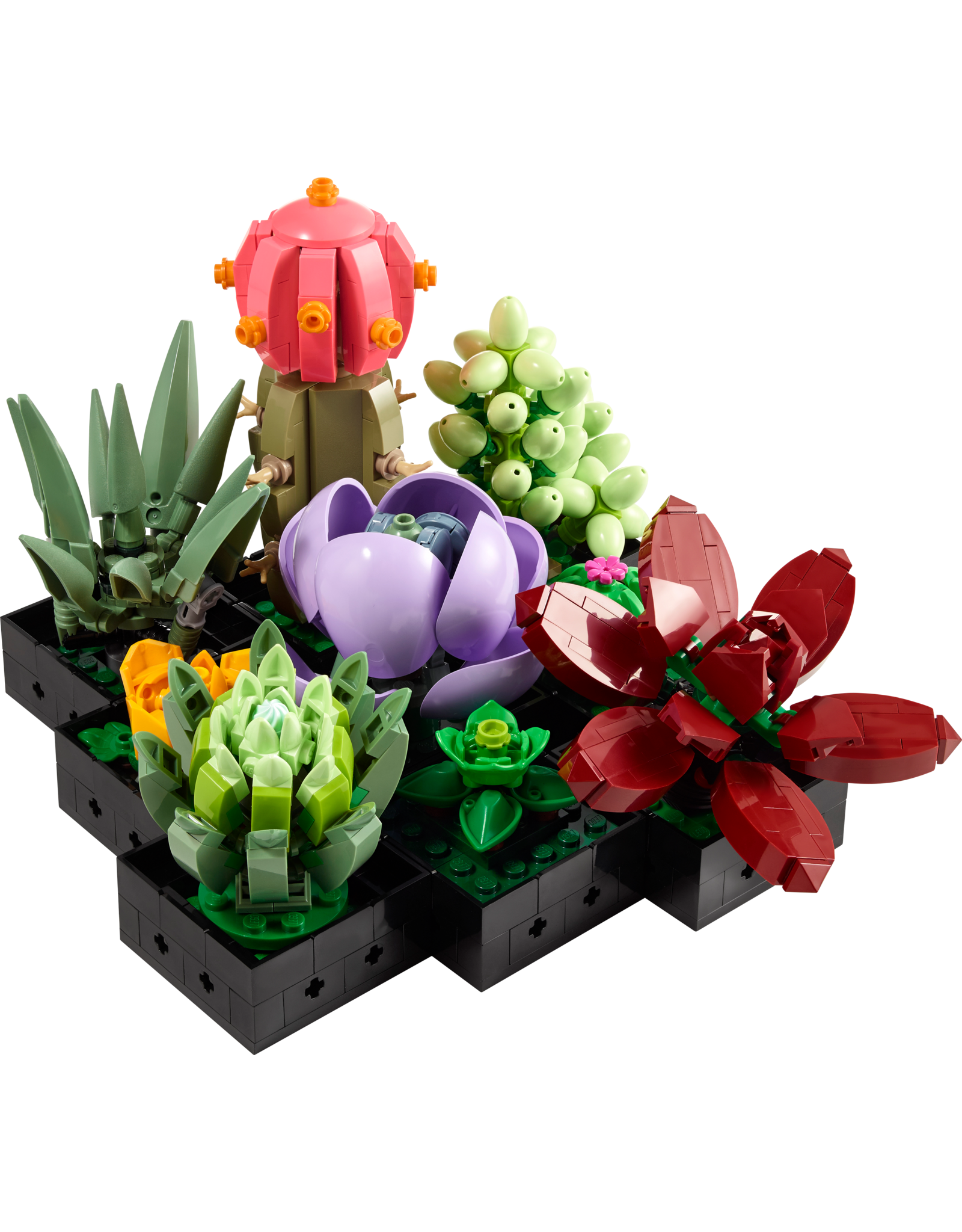 LEGO ICONS Botanical Collection10309 Succulents