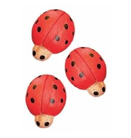 Papoose Ladybug Red