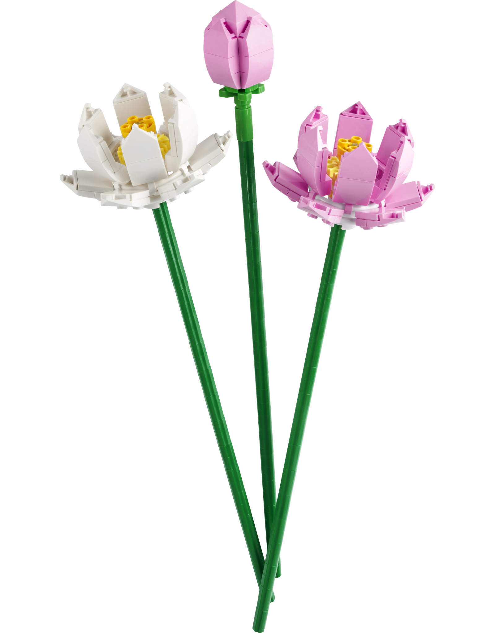 LEGO Flowers 40647 Lotus Flowers