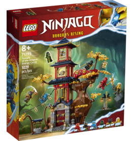 LEGO Ninjago 71795 Temple of the Dragon Energy Cores
