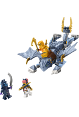 LEGO Ninjago 71810 Young Dragon Riyu