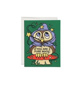 Red Cap Cards Owl Wizard