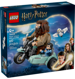 LEGO Harry Potter 76443 Hagrid & Harry's Motorcycle Ride