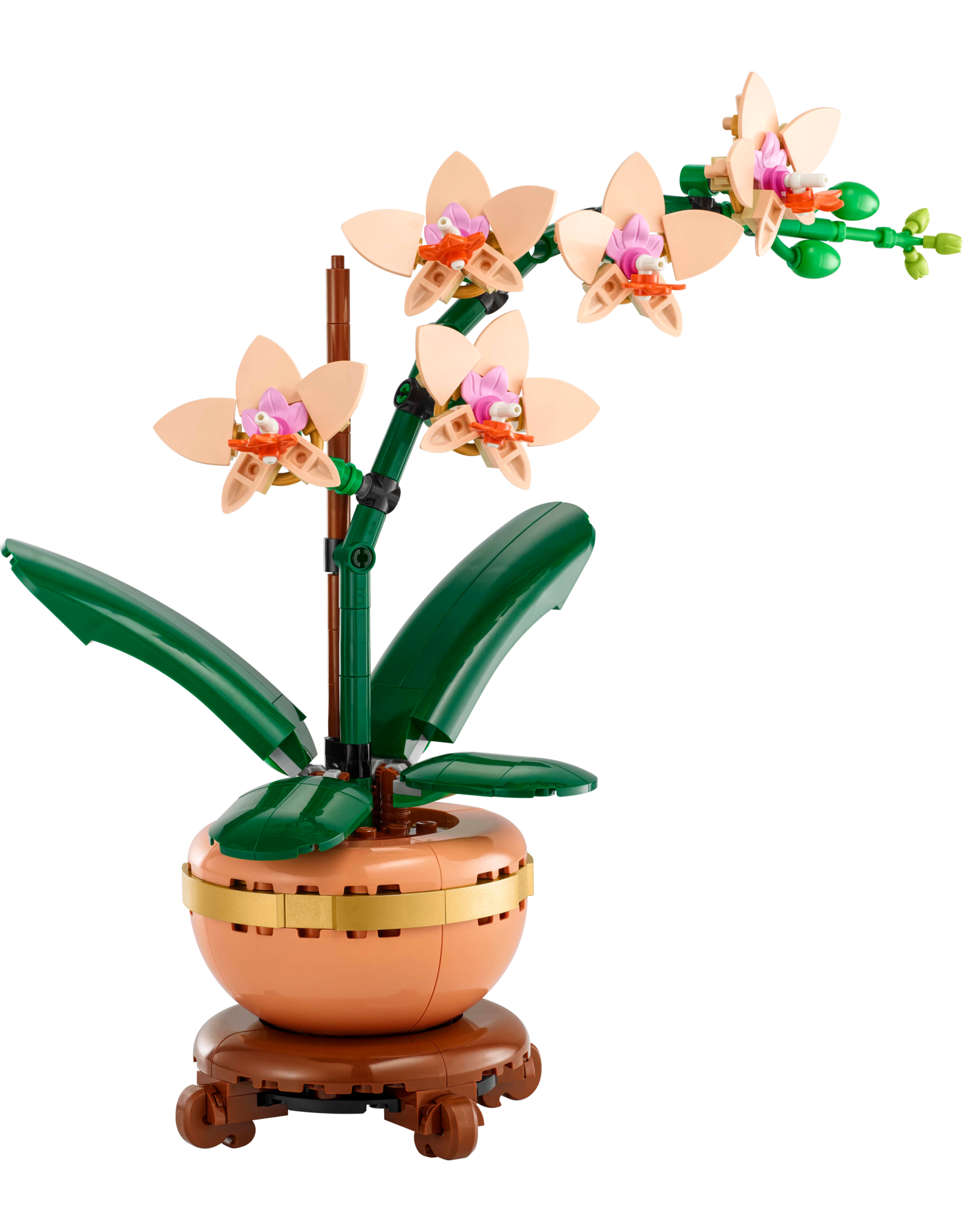 LEGO Botanicals 10343 Mini Orchid
