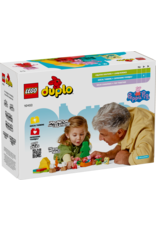 LEGO DUPLO Peppa Pig 10452 Camping Trip