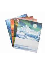 Studiostone Creative Polar Bear Alabaster Carving Kit