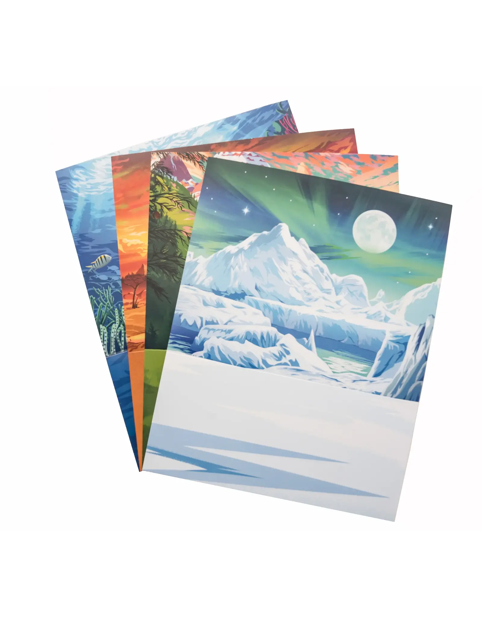 Studiostone Creative Polar Bear Alabaster Carving Kit