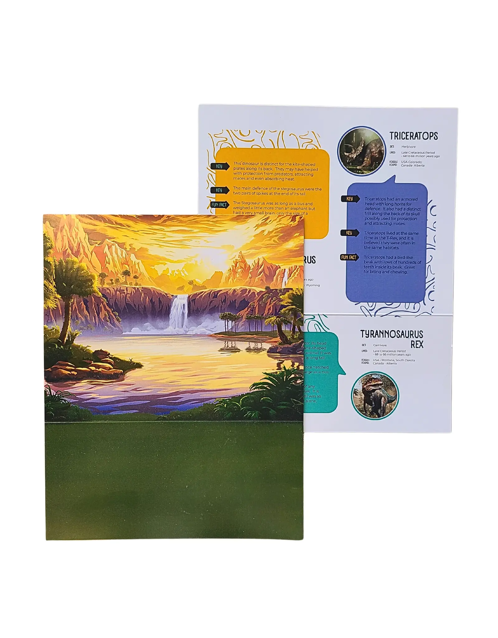 Studiostone Creative Triceratops Soapstone Carving Kit