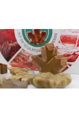 Studiostone Creative Maple Leaf Soapstone Carving Kit