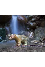 Studiostone Creative Bear Soapstone Carving Kit