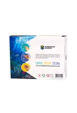 Studiostone Creative Orca Soapstone Carving Kit