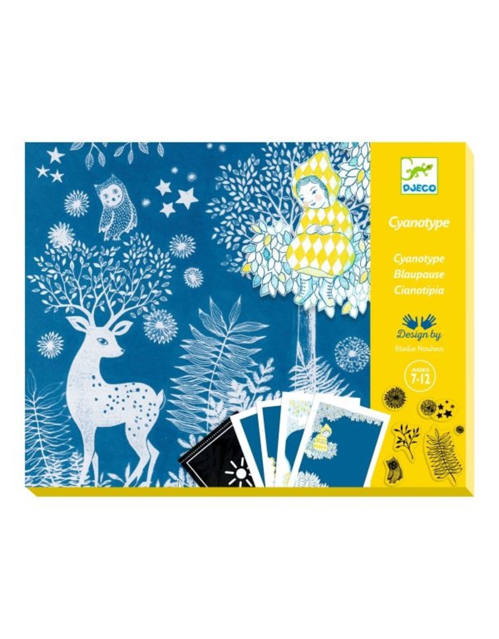 Djeco Cyanotype Au clair de la lune