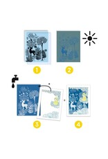 Djeco Cyanotype Au clair de la lune Djeco Cyanotype Au clair de la lune
