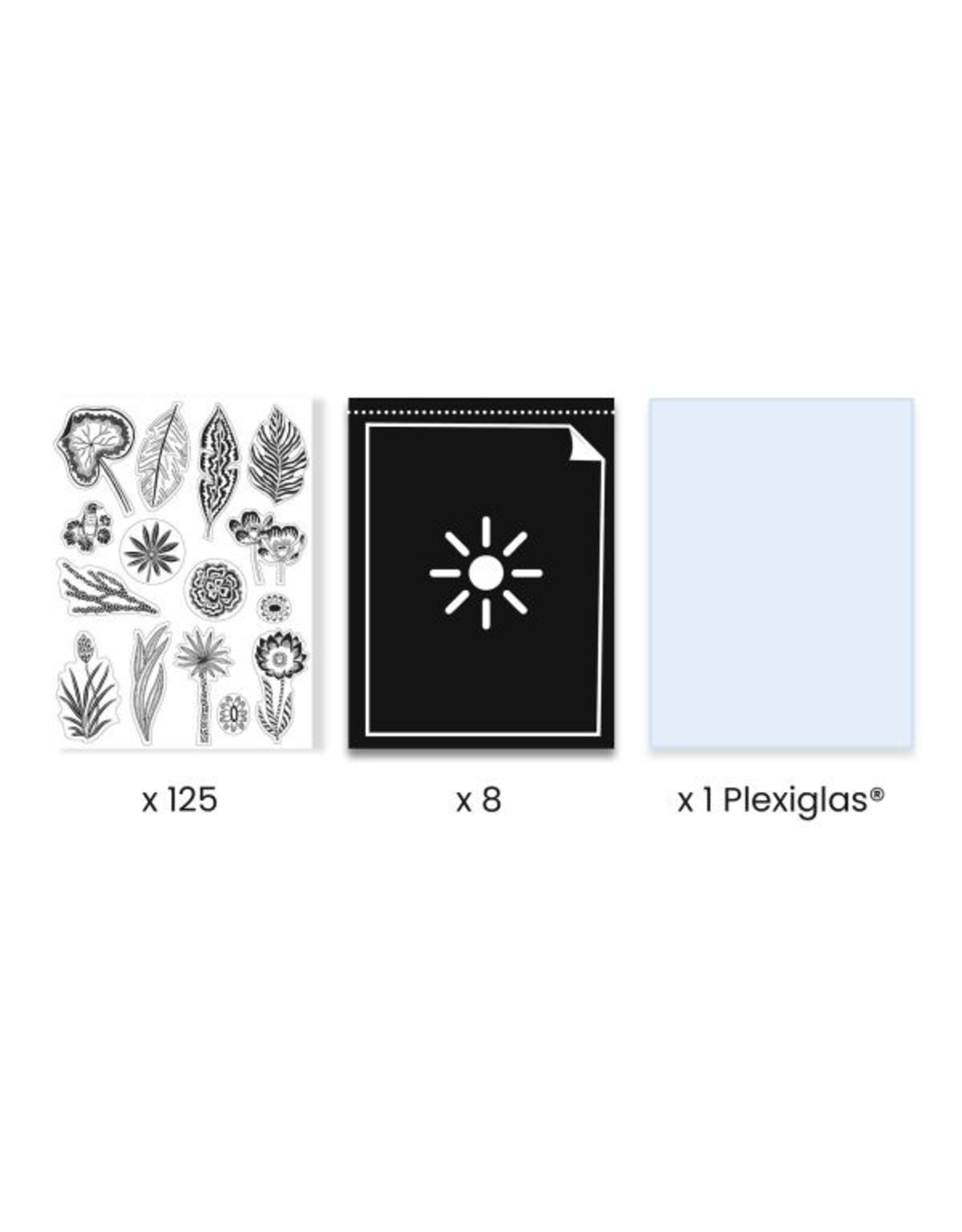 Djeco Cyanotype Night-time in the Savannah