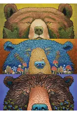 Cobble Hill Puzzles Bear Eyes: Harvest  500 Piece