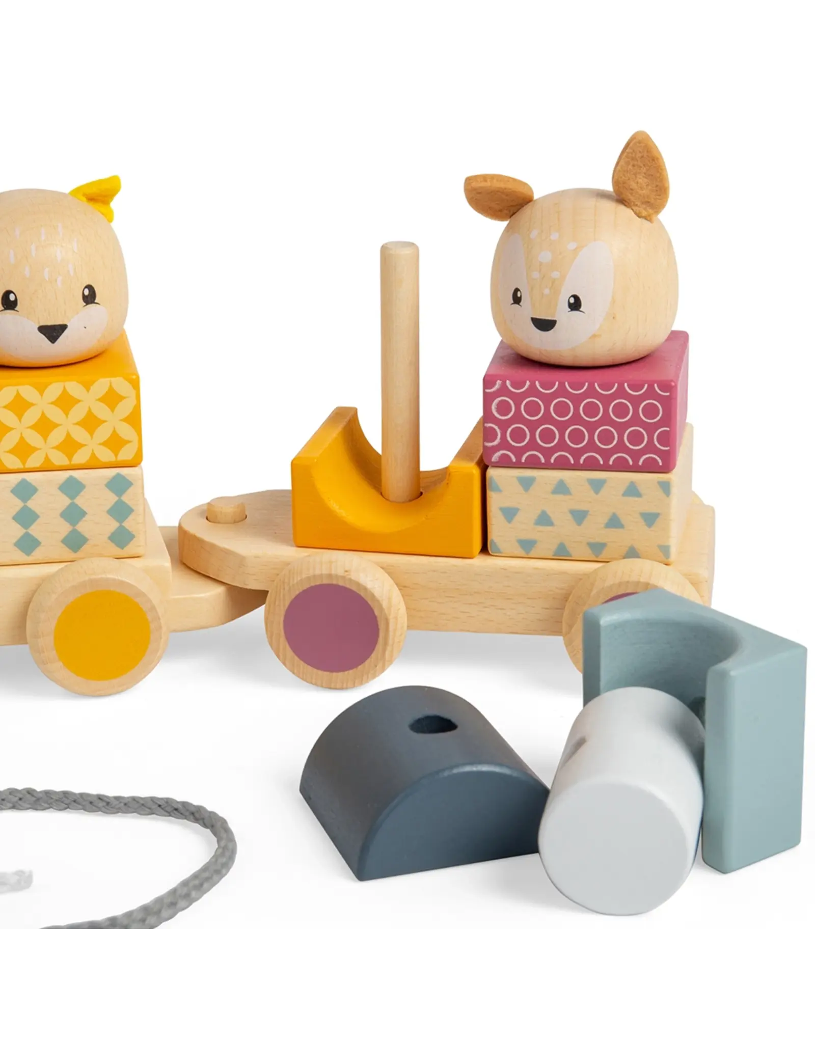 Activity Pull Along Train