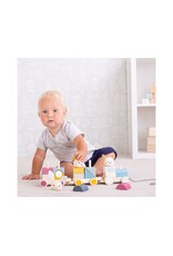 Activity Pull Along Train