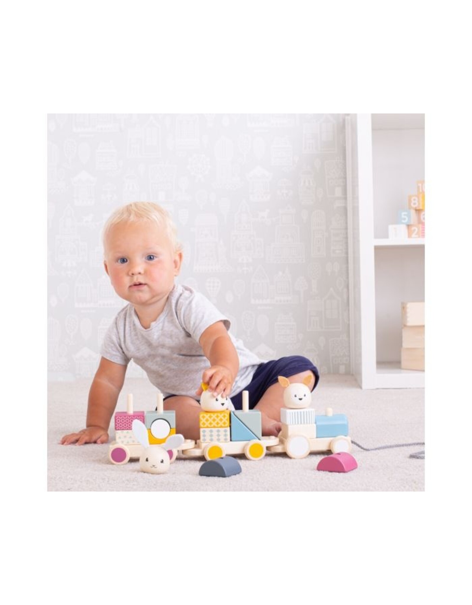 Activity Pull Along Train