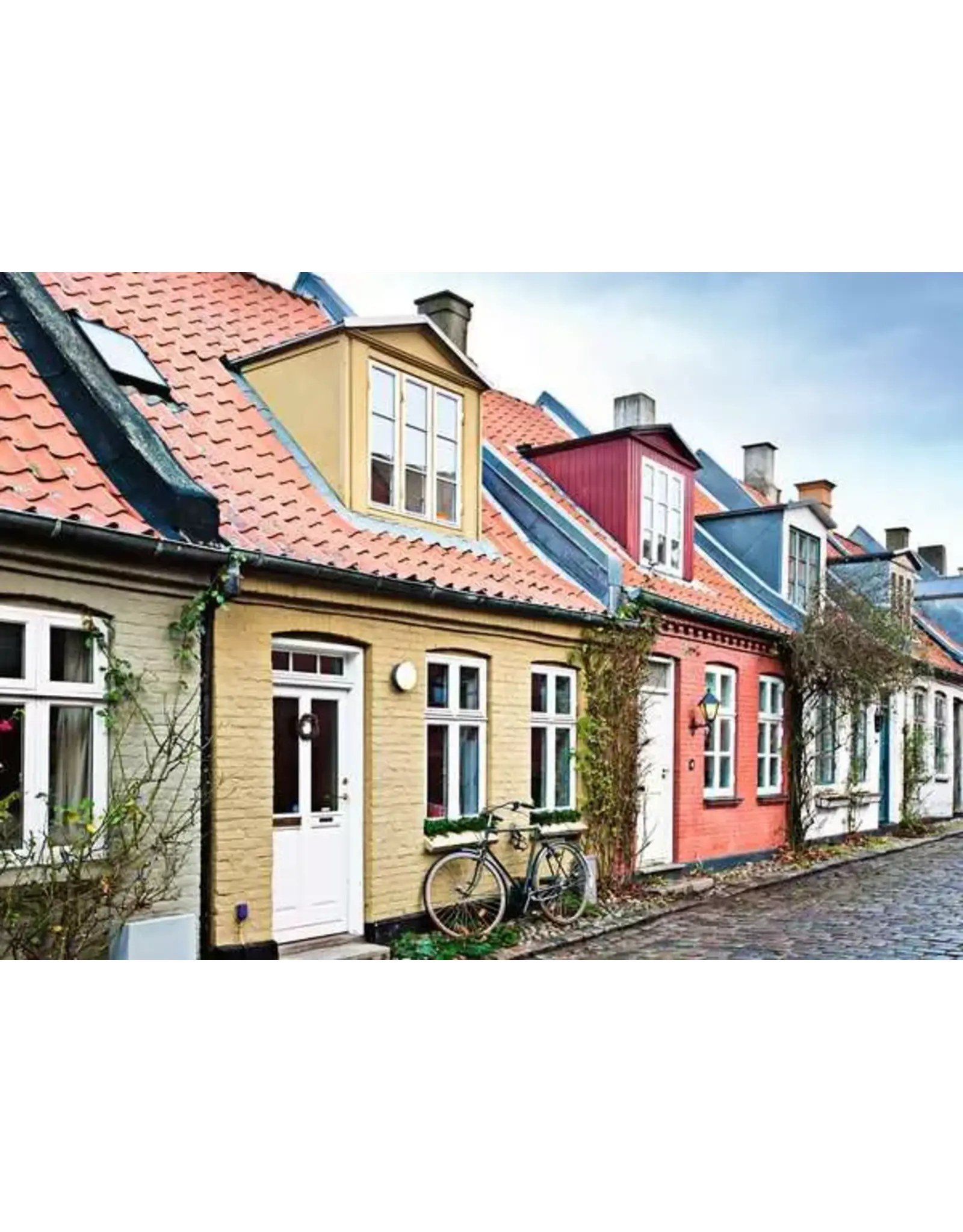 Ravensburger Houses in Aarhus Denmark 1000 Pcs Puzzle