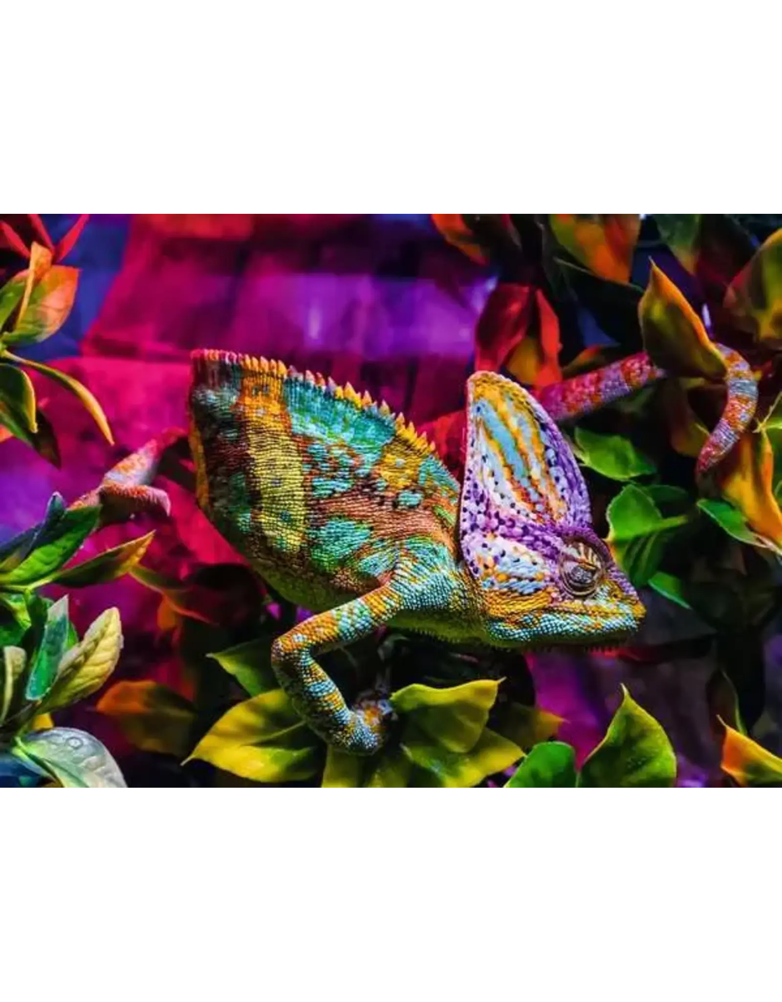 Ravensburger Chameleon 500 Pcs Puzzle
