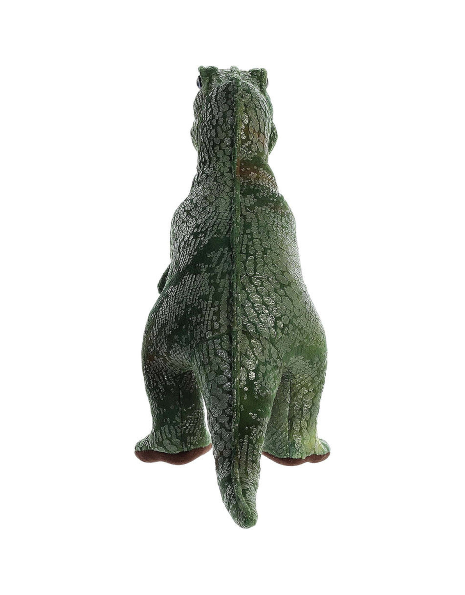 Dinosaur  Tyrannosaurus Rex 11