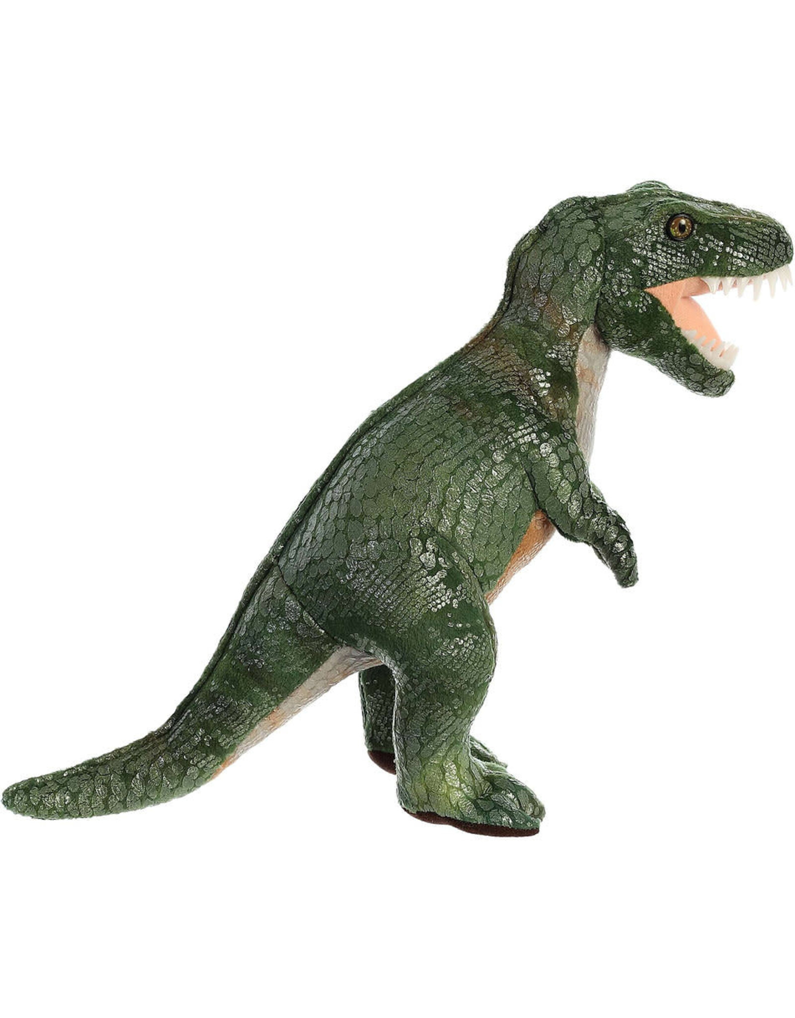 Dinosaur  Tyrannosaurus Rex 11