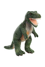 Dinosaur  Tyrannosaurus Rex 11