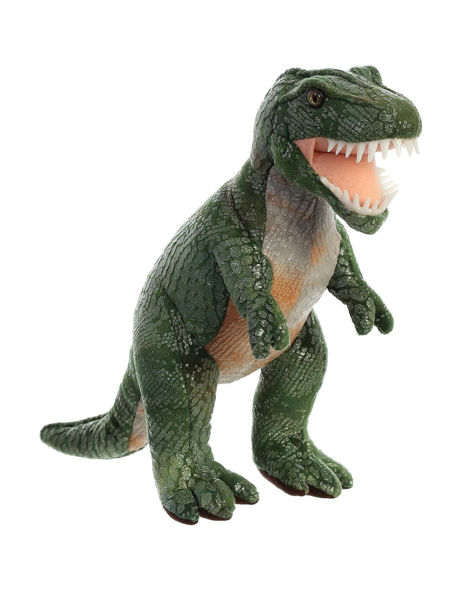 Dinosaur  Tyrannosaurus Rex 11