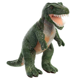 Dinosaur  Tyrannosaurus Rex 11