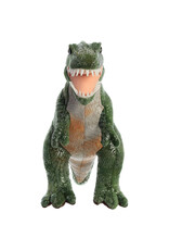 Dinosaur  Tyrannosaurus Rex 11