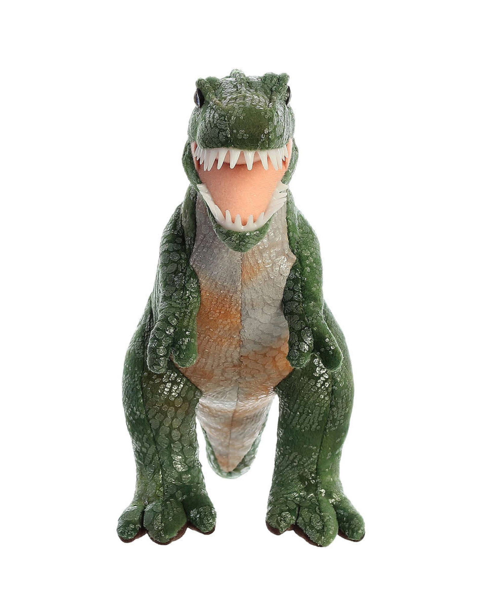 Dinosaur  Tyrannosaurus Rex 11