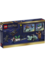 LEGO Harry Potter 76459 Hagrid & Harry's Privet Drive Escape