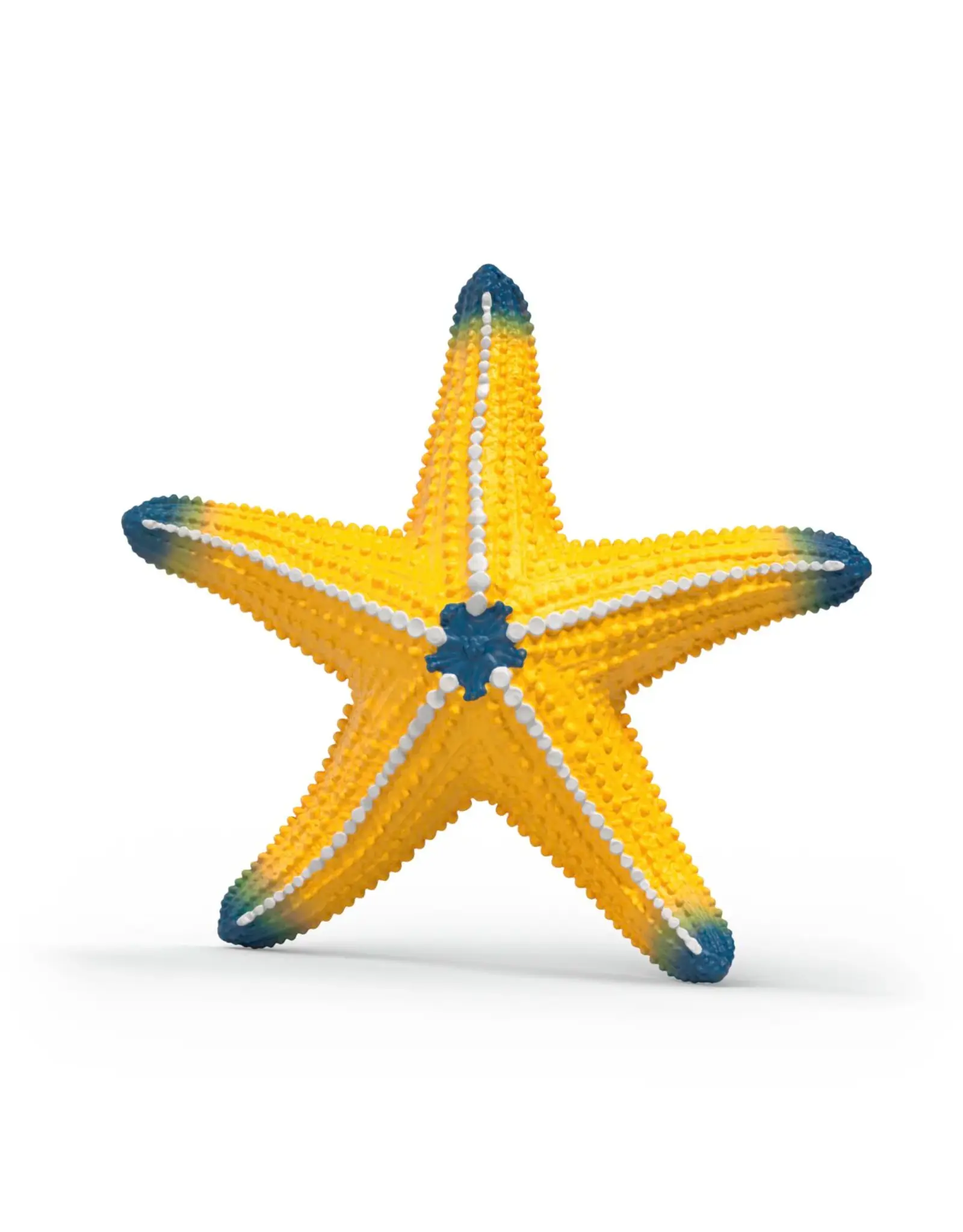 Schleich Starfish Changes Colour