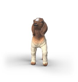 Schleich Boer Goat Kid