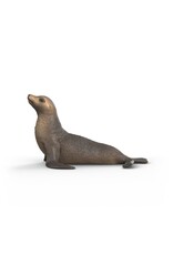 Schleich Sea Lion