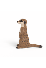 Schleich Meerkat